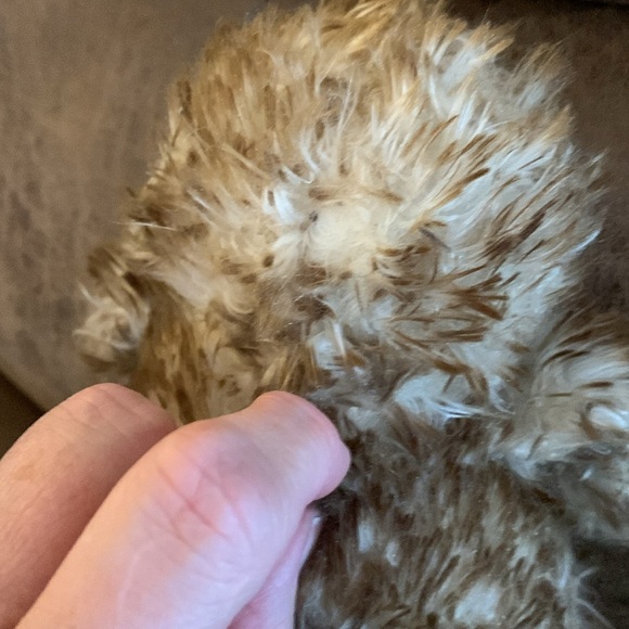 Kiwi bird plush - Picture 11 of 12